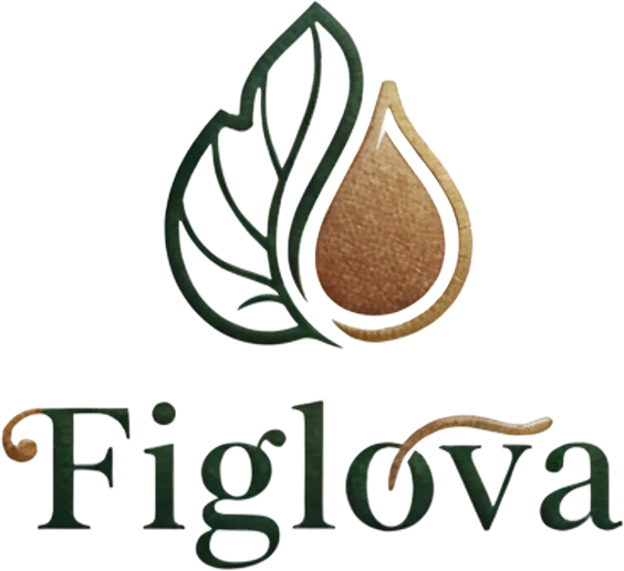 Organik Kuru İncir - Figlova